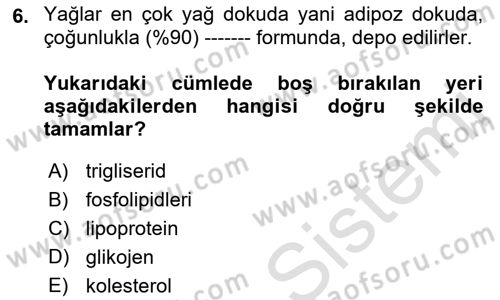 Hayvan Besleme Dersi 2022 - 2023 Yılı Yaz Okulu Sınav Soruları 6. Soru