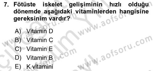 Hayvan Besleme Dersi 2022 - 2023 Yılı Yaz Okulu Sınav Soruları 7. Soru