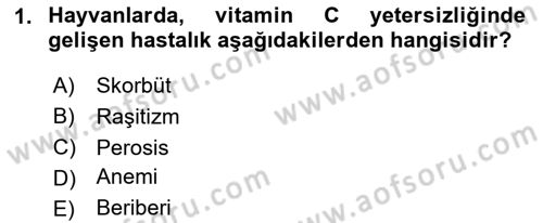 Hayvan Besleme Dersi 2023 - 2024 Yılı (Vize) Ara Sınav Soruları 1. Soru