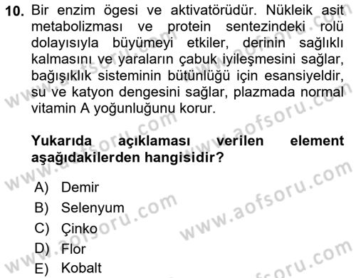 Hayvan Besleme Dersi 2023 - 2024 Yılı (Vize) Ara Sınav Soruları 10. Soru