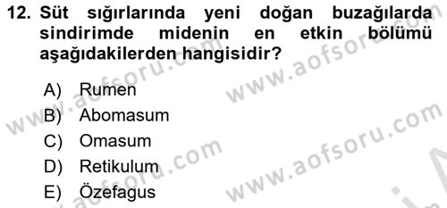 Hayvan Besleme Dersi 2023 - 2024 Yılı (Vize) Ara Sınav Soruları 12. Soru