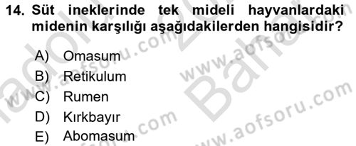 Hayvan Besleme Dersi 2023 - 2024 Yılı (Vize) Ara Sınav Soruları 14. Soru