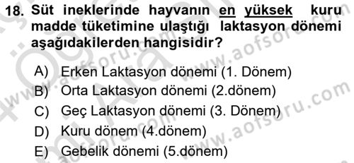 Hayvan Besleme Dersi 2023 - 2024 Yılı (Vize) Ara Sınav Soruları 18. Soru