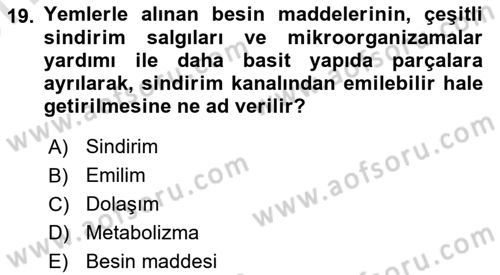 Hayvan Besleme Dersi 2023 - 2024 Yılı (Vize) Ara Sınav Soruları 19. Soru