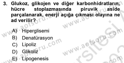 Hayvan Besleme Dersi 2023 - 2024 Yılı (Vize) Ara Sınav Soruları 3. Soru
