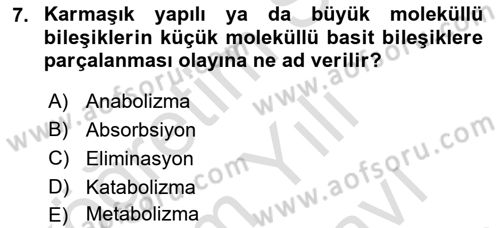 Hayvan Besleme Dersi 2023 - 2024 Yılı (Vize) Ara Sınav Soruları 7. Soru