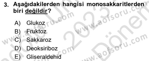 Hayvan Besleme Dersi 2023 - 2024 Yılı (Final) Dönem Sonu Sınav Soruları 3. Soru