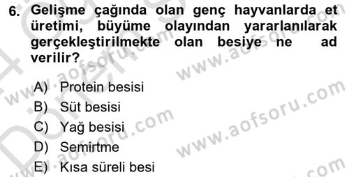Hayvan Besleme Dersi 2023 - 2024 Yılı (Final) Dönem Sonu Sınav Soruları 6. Soru