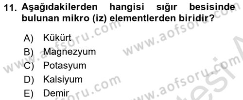 Hayvan Besleme Dersi 2023 - 2024 Yılı Yaz Okulu Sınav Soruları 11. Soru