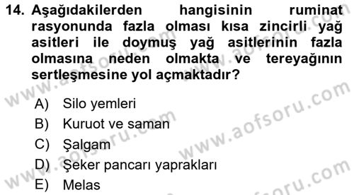 Hayvan Besleme Dersi 2023 - 2024 Yılı Yaz Okulu Sınav Soruları 14. Soru