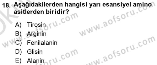 Hayvan Besleme Dersi 2023 - 2024 Yılı Yaz Okulu Sınav Soruları 18. Soru
