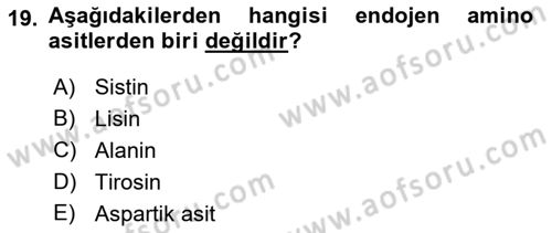 Hayvan Besleme Dersi 2023 - 2024 Yılı Yaz Okulu Sınav Soruları 19. Soru