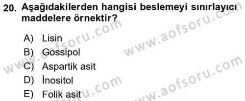 Hayvan Besleme Dersi 2023 - 2024 Yılı Yaz Okulu Sınav Soruları 20. Soru