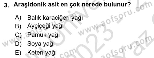 Hayvan Besleme Dersi 2023 - 2024 Yılı Yaz Okulu Sınav Soruları 3. Soru