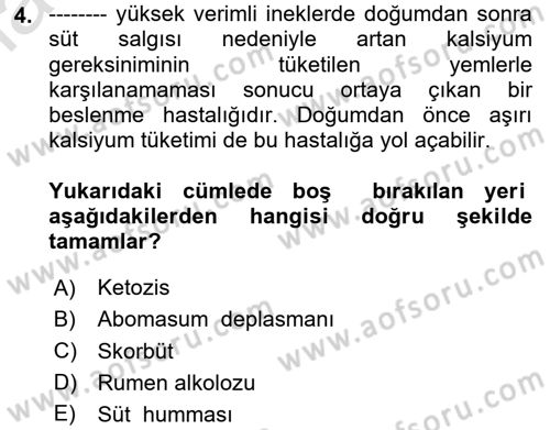 Hayvan Besleme Dersi 2023 - 2024 Yılı Yaz Okulu Sınav Soruları 4. Soru