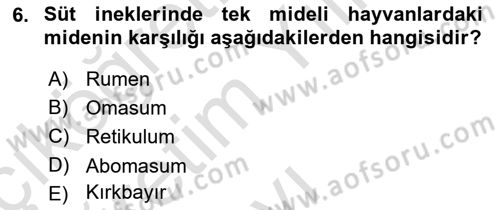 Hayvan Besleme Dersi 2023 - 2024 Yılı Yaz Okulu Sınav Soruları 6. Soru