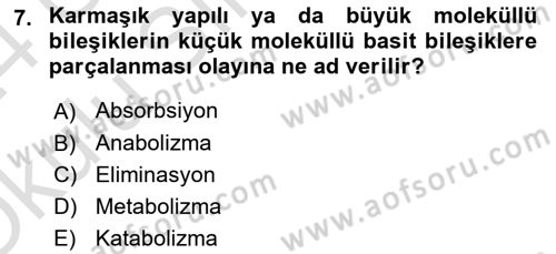 Hayvan Besleme Dersi 2023 - 2024 Yılı Yaz Okulu Sınav Soruları 7. Soru