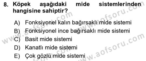 Hayvan Besleme Dersi 2023 - 2024 Yılı Yaz Okulu Sınav Soruları 8. Soru