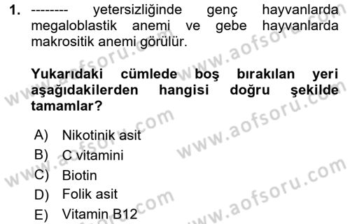 Hayvan Besleme Dersi 2024 - 2025 Yılı (Vize) Ara Sınav Soruları 1. Soru