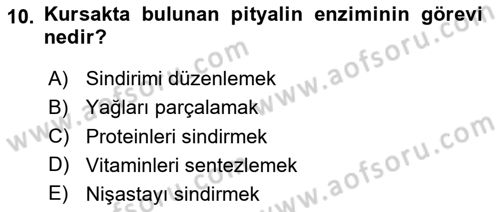 Hayvan Besleme Dersi 2024 - 2025 Yılı (Vize) Ara Sınav Soruları 10. Soru
