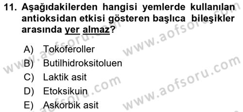 Hayvan Besleme Dersi 2024 - 2025 Yılı (Vize) Ara Sınav Soruları 11. Soru