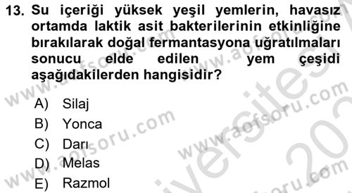 Hayvan Besleme Dersi 2024 - 2025 Yılı (Vize) Ara Sınav Soruları 13. Soru
