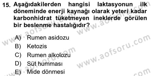 Hayvan Besleme Dersi 2024 - 2025 Yılı (Vize) Ara Sınav Soruları 15. Soru