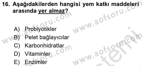 Hayvan Besleme Dersi 2024 - 2025 Yılı (Vize) Ara Sınav Soruları 16. Soru