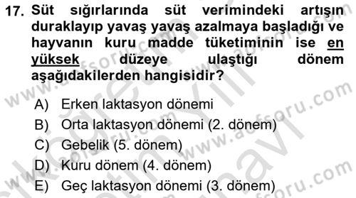 Hayvan Besleme Dersi 2024 - 2025 Yılı (Vize) Ara Sınav Soruları 17. Soru