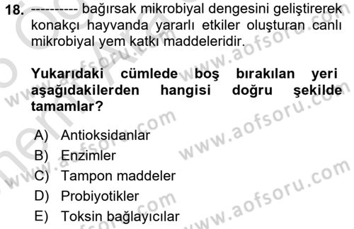 Hayvan Besleme Dersi 2024 - 2025 Yılı (Vize) Ara Sınav Soruları 18. Soru