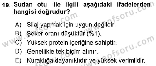 Hayvan Besleme Dersi 2024 - 2025 Yılı (Vize) Ara Sınav Soruları 19. Soru
