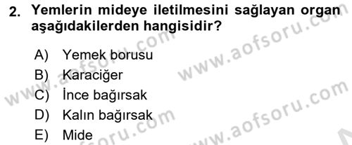 Hayvan Besleme Dersi 2024 - 2025 Yılı (Vize) Ara Sınav Soruları 2. Soru