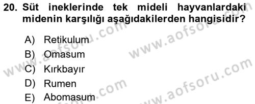 Hayvan Besleme Dersi 2024 - 2025 Yılı (Vize) Ara Sınav Soruları 20. Soru