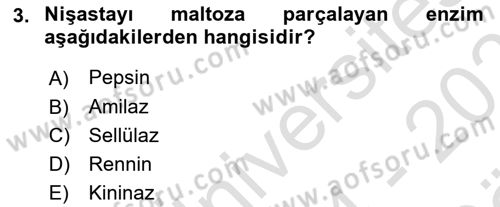 Hayvan Besleme Dersi 2024 - 2025 Yılı (Vize) Ara Sınav Soruları 3. Soru