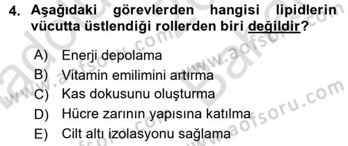 Hayvan Besleme Dersi 2024 - 2025 Yılı (Vize) Ara Sınav Soruları 4. Soru