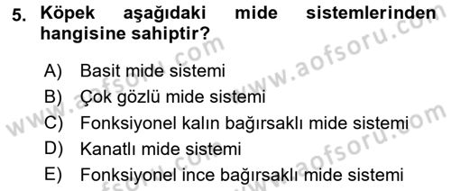 Hayvan Besleme Dersi 2024 - 2025 Yılı (Vize) Ara Sınav Soruları 5. Soru