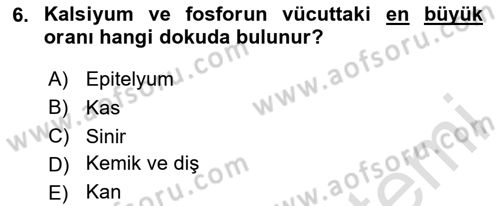 Hayvan Besleme Dersi 2024 - 2025 Yılı (Vize) Ara Sınav Soruları 6. Soru