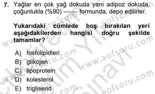 Hayvan Besleme Dersi 2024 - 2025 Yılı (Vize) Ara Sınav Soruları 7. Soru