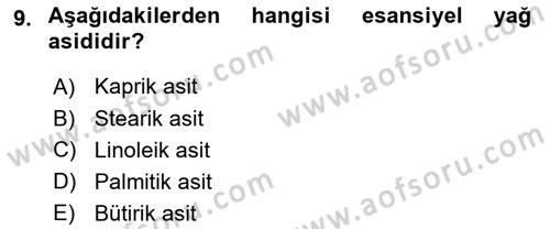 Hayvan Besleme Dersi 2024 - 2025 Yılı (Vize) Ara Sınav Soruları 9. Soru