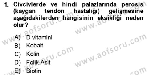 Hayvan Besleme Dersi 2024 - 2025 Yılı (Final) Dönem Sonu Sınav Soruları 1. Soru