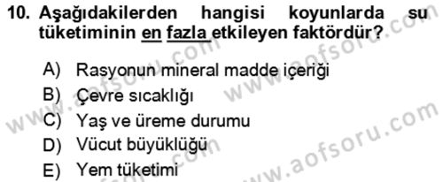 Hayvan Besleme Dersi 2024 - 2025 Yılı (Final) Dönem Sonu Sınav Soruları 10. Soru