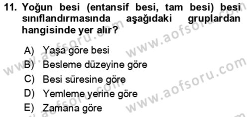 Hayvan Besleme Dersi 2024 - 2025 Yılı (Final) Dönem Sonu Sınav Soruları 11. Soru
