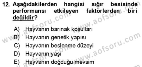 Hayvan Besleme Dersi 2024 - 2025 Yılı (Final) Dönem Sonu Sınav Soruları 12. Soru