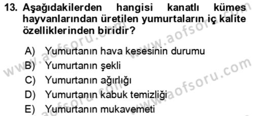Hayvan Besleme Dersi 2024 - 2025 Yılı (Final) Dönem Sonu Sınav Soruları 13. Soru