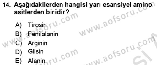 Hayvan Besleme Dersi 2024 - 2025 Yılı (Final) Dönem Sonu Sınav Soruları 14. Soru