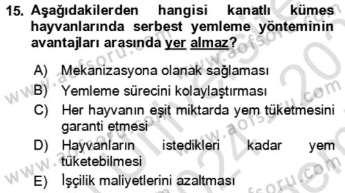 Hayvan Besleme Dersi 2024 - 2025 Yılı (Final) Dönem Sonu Sınav Soruları 15. Soru