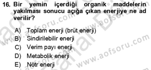 Hayvan Besleme Dersi 2024 - 2025 Yılı (Final) Dönem Sonu Sınav Soruları 16. Soru