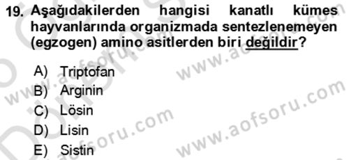 Hayvan Besleme Dersi 2024 - 2025 Yılı (Final) Dönem Sonu Sınav Soruları 19. Soru