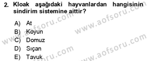 Hayvan Besleme Dersi 2024 - 2025 Yılı (Final) Dönem Sonu Sınav Soruları 2. Soru