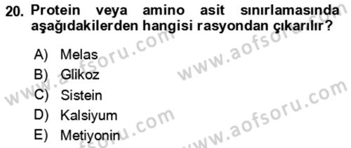 Hayvan Besleme Dersi 2024 - 2025 Yılı (Final) Dönem Sonu Sınav Soruları 20. Soru